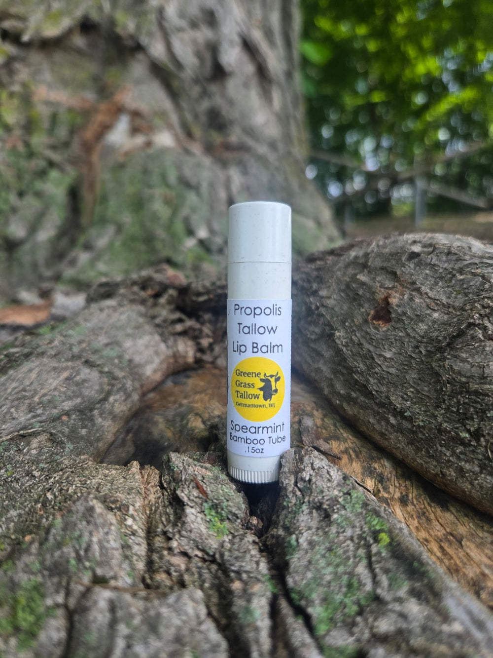 Greene Grass Tallow Spearmint Propolis Lip Balm in a bamboo tube on weathered wood