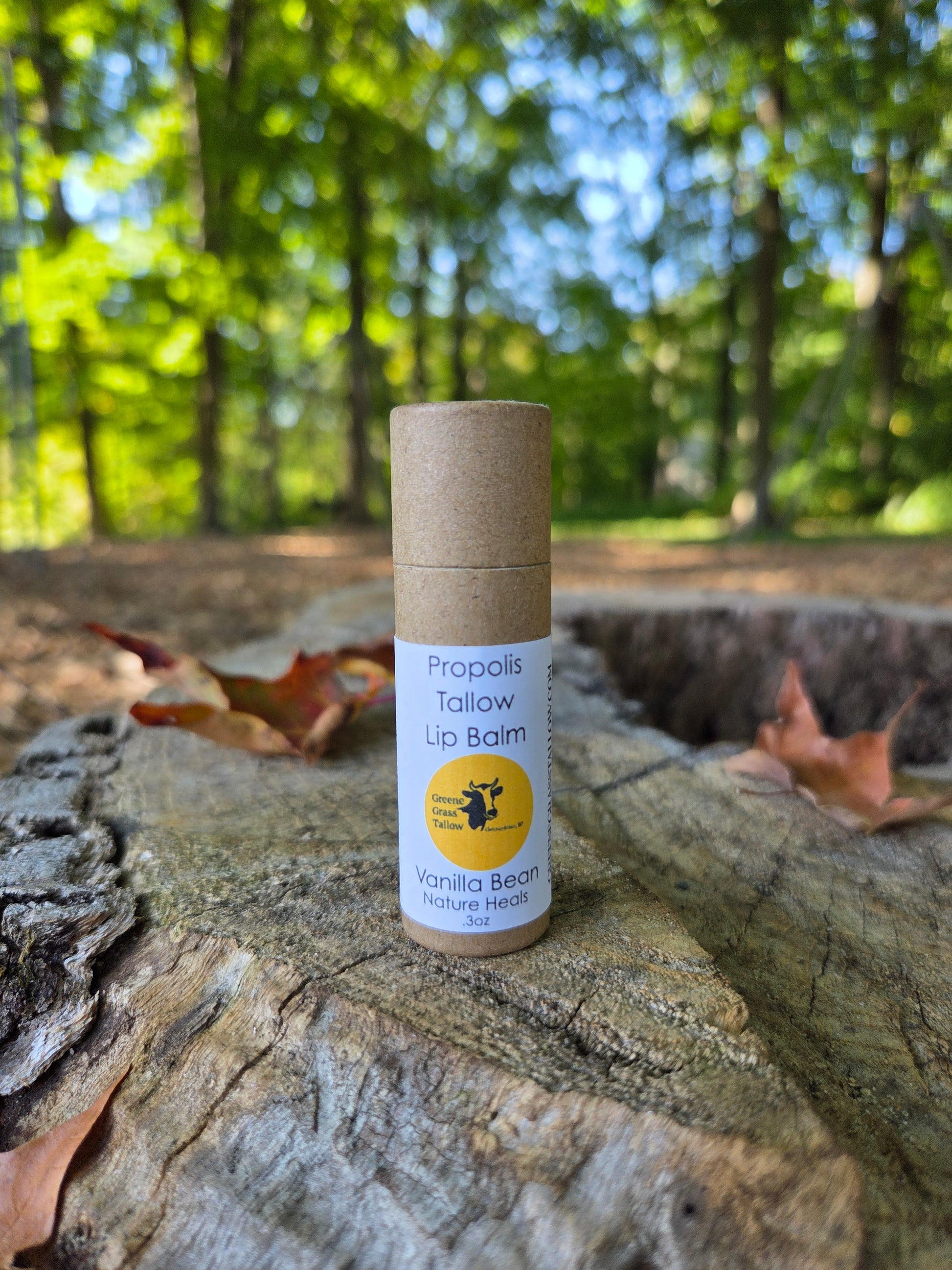 Propolis tallow lip balm by Greene Grass Tallow, handcrafted in Germantown, Wisconsin with grass-fed beef tallow, beeswax, and propolis for smooth, hydrated lips.