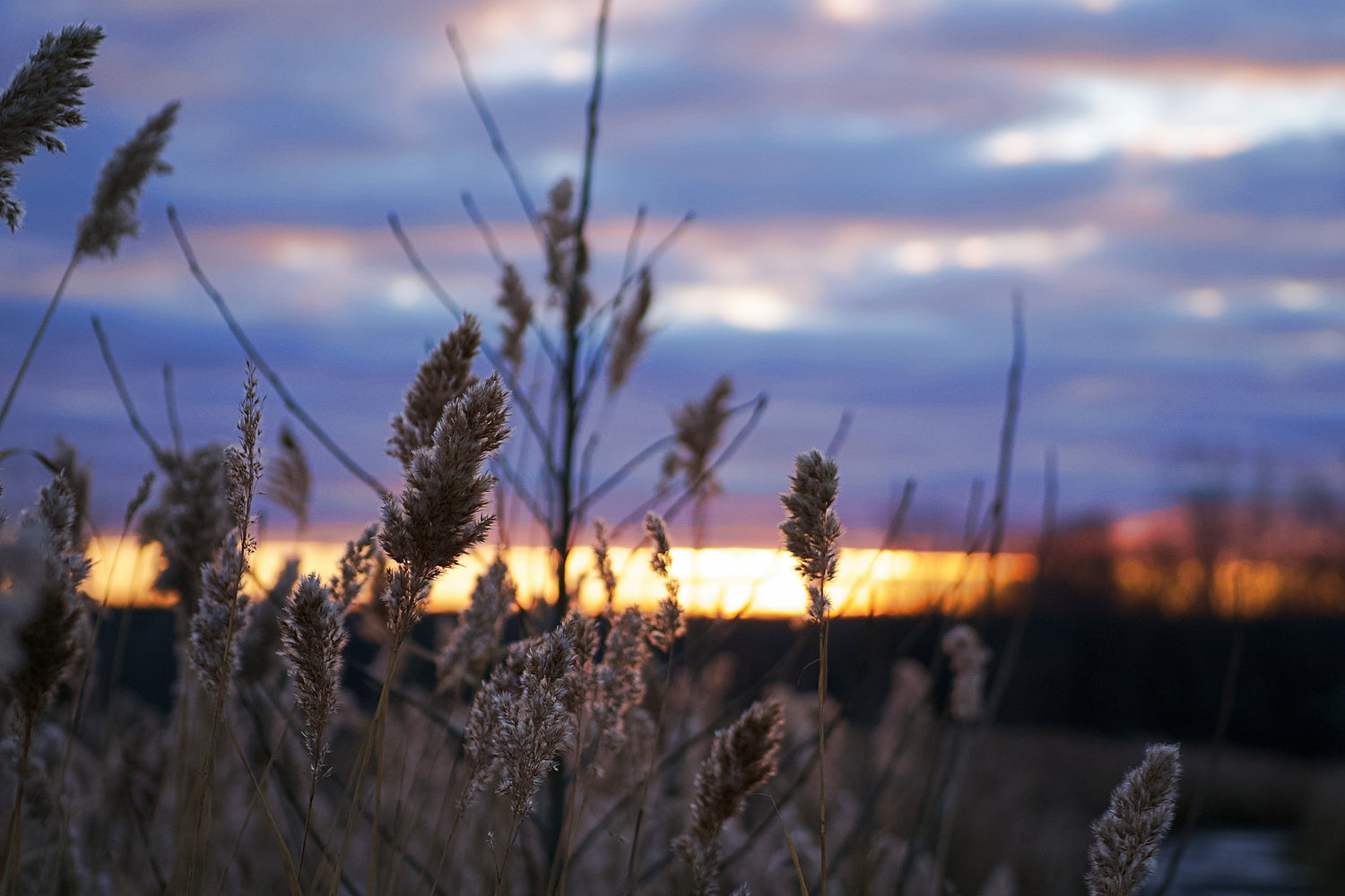 image of wisconsin landscape at sunset